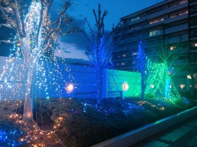 サーパス中津瀬リノベーション現場視察⑥　2019.12.5